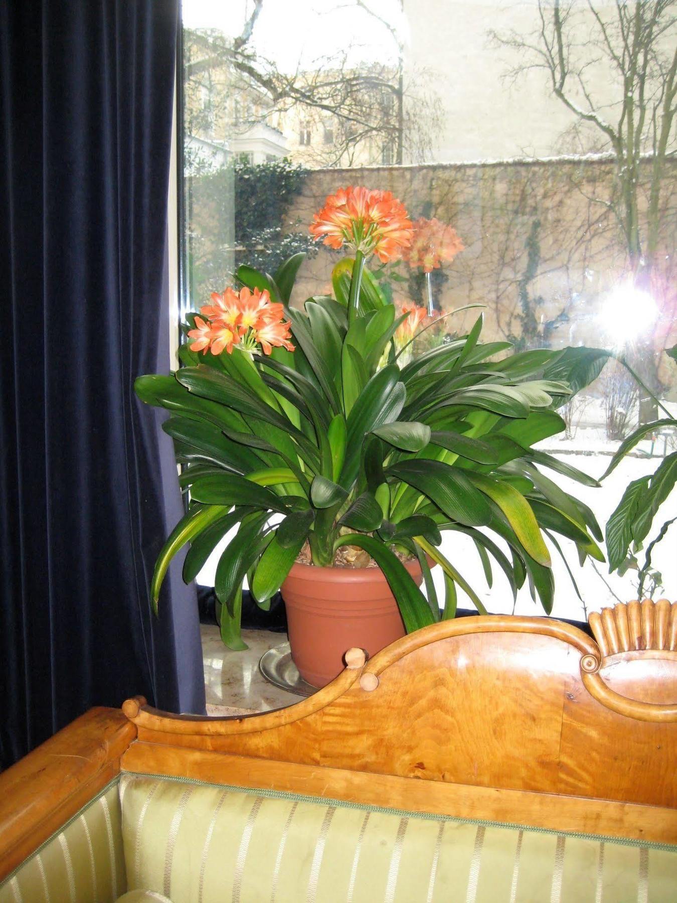 Hotel Literaturhotel Berlim